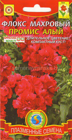 Флокс махровый Промис алый