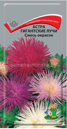 Астра Гигантские Лучи ,смесь окрасок