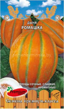 Дыня Ромашка