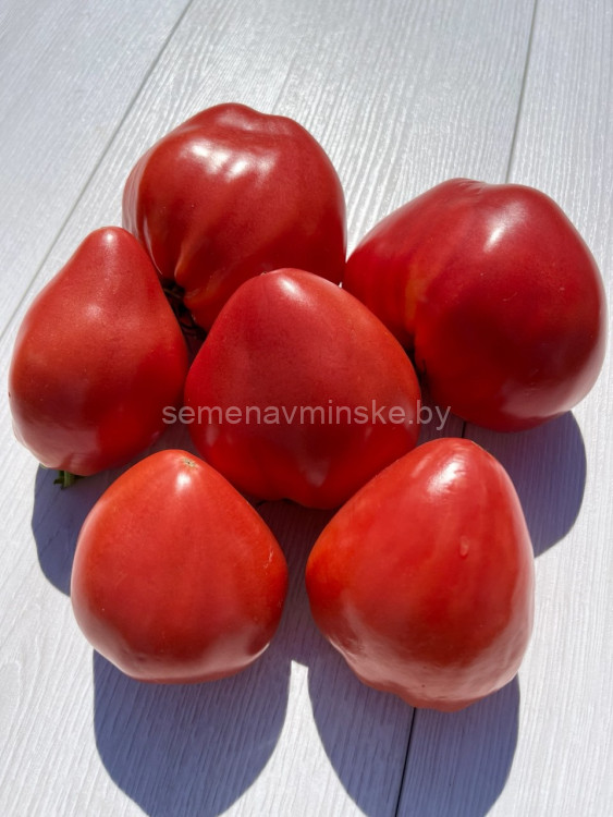 Томат Сердце Медведя