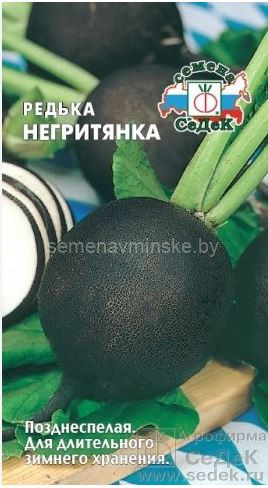 Редька Негритянка
