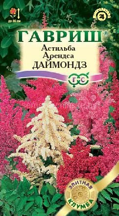 Астильба Арендса Даймондз