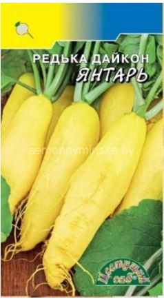 Редька дайкон Янтарь