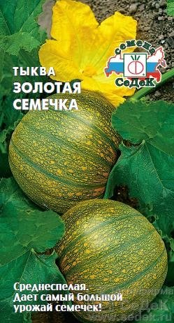 Тыква Золотая семечка