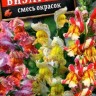 Львиный зев Бизари F1