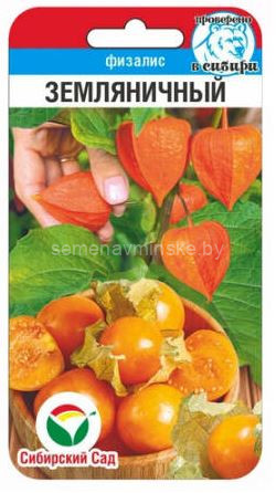 Физалис ягодный  Земляничный