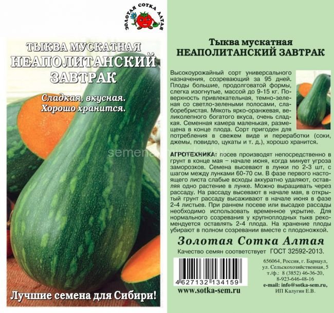 Тыква мускатная Неаполитанский завтрак