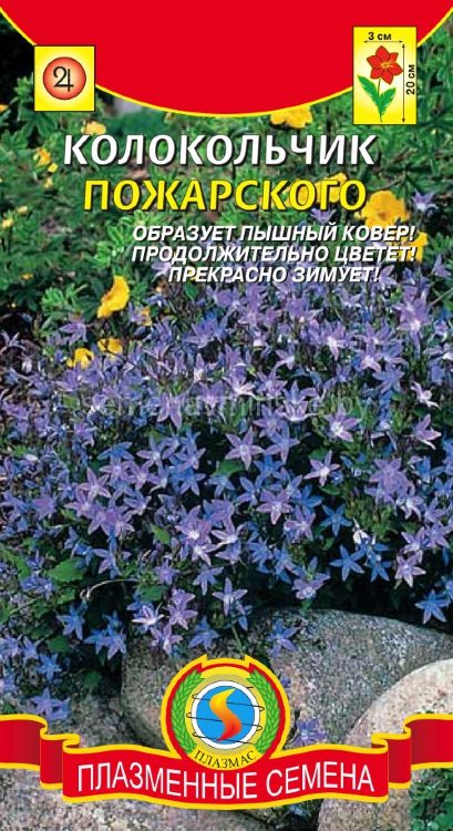 Колокольчик Пожарского