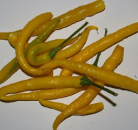 Перец острый Цедрино