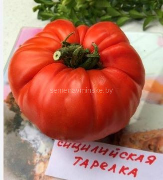 Томат Сицилийская Тарелка