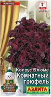 Колеус Блюме Комнатный Трюфель