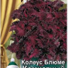 Колеус Блюме Комнатный Трюфель
