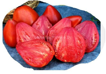 Томат Гномьи Шляпки