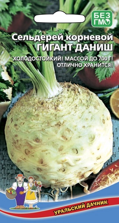Сельдерей Гигант Даниш