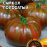 Томат Самбол Полосатый
