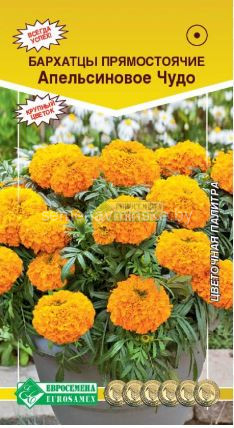 Бархатцы Апельсиновое Чудо