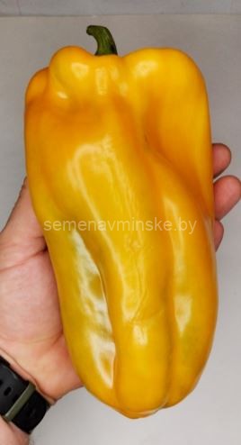 Перец Желтый Монстр