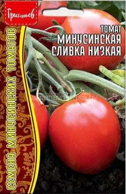 Томат Сливка Минусинская низкая