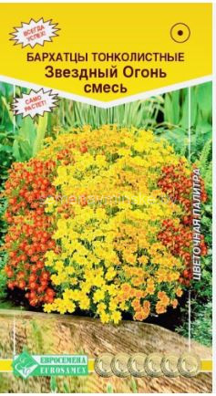 Бархатцы Звездный Огонь