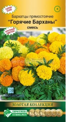 Бархатцы Горячие Барханы