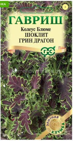 Колеус Блюме Шоклит Грин Драгон