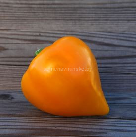 Перец Леся Оранжевая