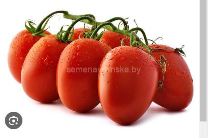 Томат Пикадилли