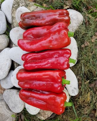 Перец Итальянский Сапог