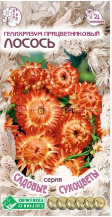Гелихризум прицветниковый  Лосось