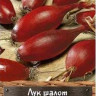 Лук шалот Семьянин