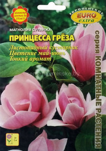 Магнолия суланжа Принцесса Греза