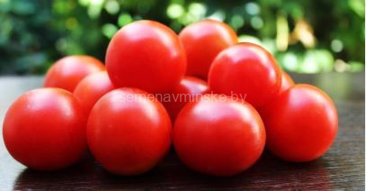 Томат Красная Вишня Камиллы