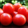 Томат Красная Вишня Камиллы