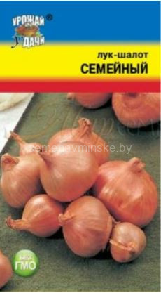 Лук - шалот Семейный