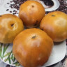 Томат Королевский Галстук Дина ( Серия Гном )