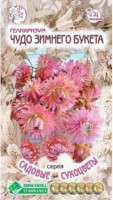 Гелихризум Чудо Зимнего Букета