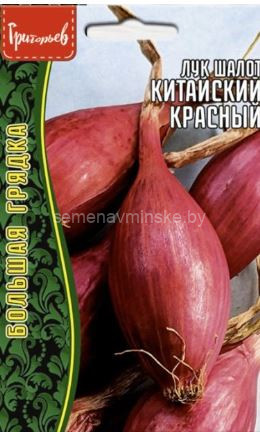 Лук шалот Китайский Красный