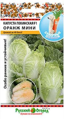 Капуста пекинская Оранж Мини