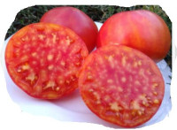 Томат Закат Аллегени