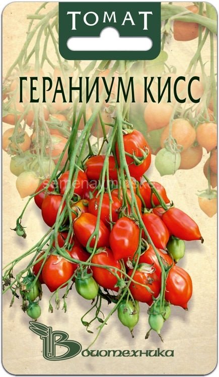 Купить семена почтой Минск