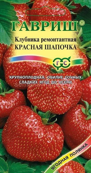 Земляника Красная Шапочка 