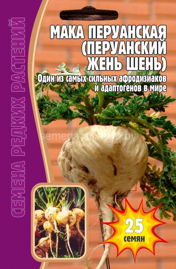 Семена Редких Многолетников Купить