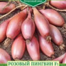 Лук шалот Розовый Пингвин