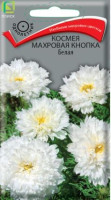 Космея Махровая Кнопка Белая