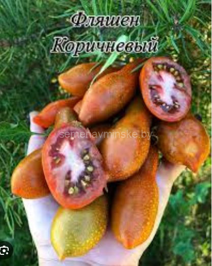 Фляшен Коричневый