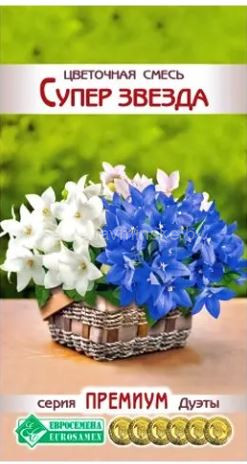 Колокольчик Суперзвезда