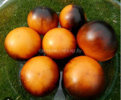 Томат Голубой Апельсин