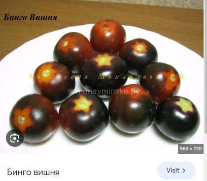Купить семена почтой Минск