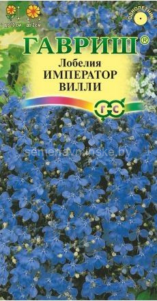 Лобелия Император Вильям