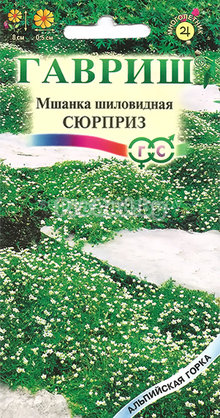 семена цветов купить в минске